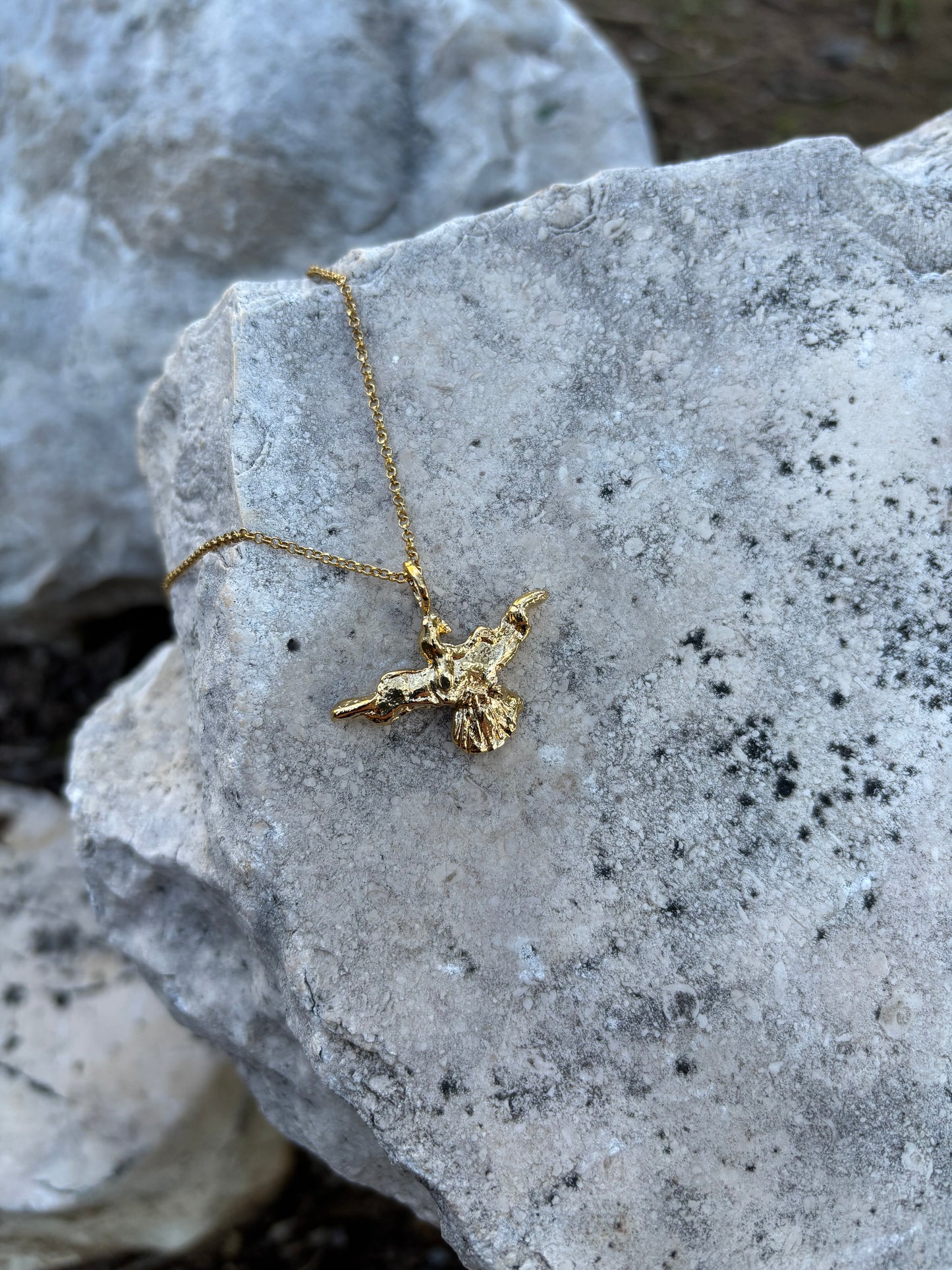 Paloma del Espíritu Santo